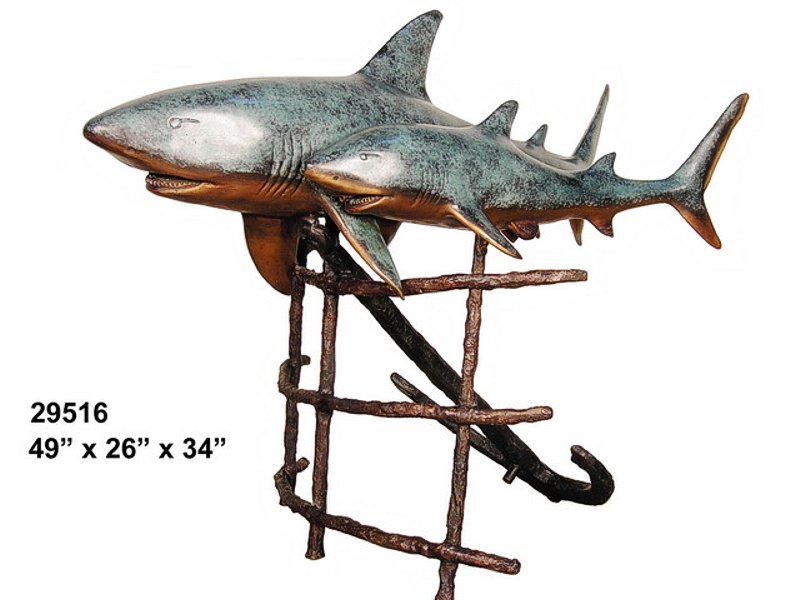 Bronze Sharks Bronze Sharks